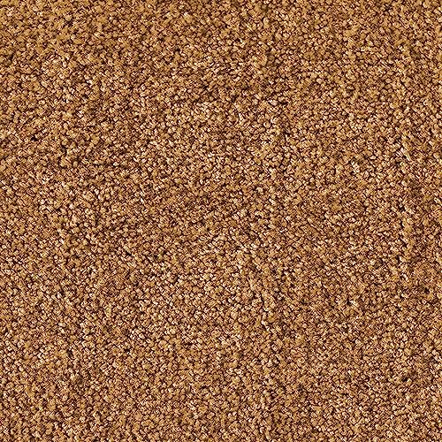 etm Premium Schmutzfangmatte: Strapazierfähig, Waschbar, Rutschfest für makellose Eingänge