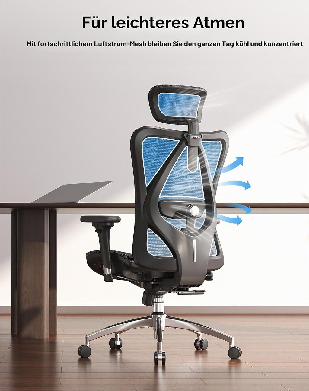 SIHOO Ergonomic Desk Chair, Swivel Chair with Adjustable Lumbar Support, Headrest and Armrest, Height Adjustment and Rocker Function, Back-Friendly, Office Chair Load Capacity: up to 150 kg (330 lbs)